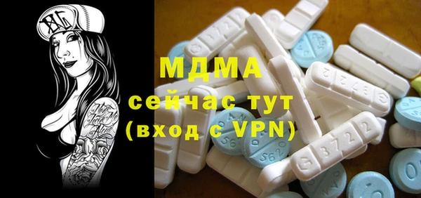PSILOCYBIN Алзамай