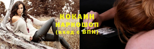 дживик Алексин