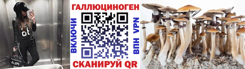 нарко площадка формула Усть-Илимск Псилоцибиновые грибы ЛСД купить