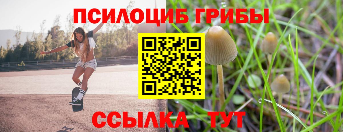Галлюциногенные грибы Cubensis  Вход с VPN  Галлюциногенные грибы GOLDEN TEACHER  Усть-Илимск 